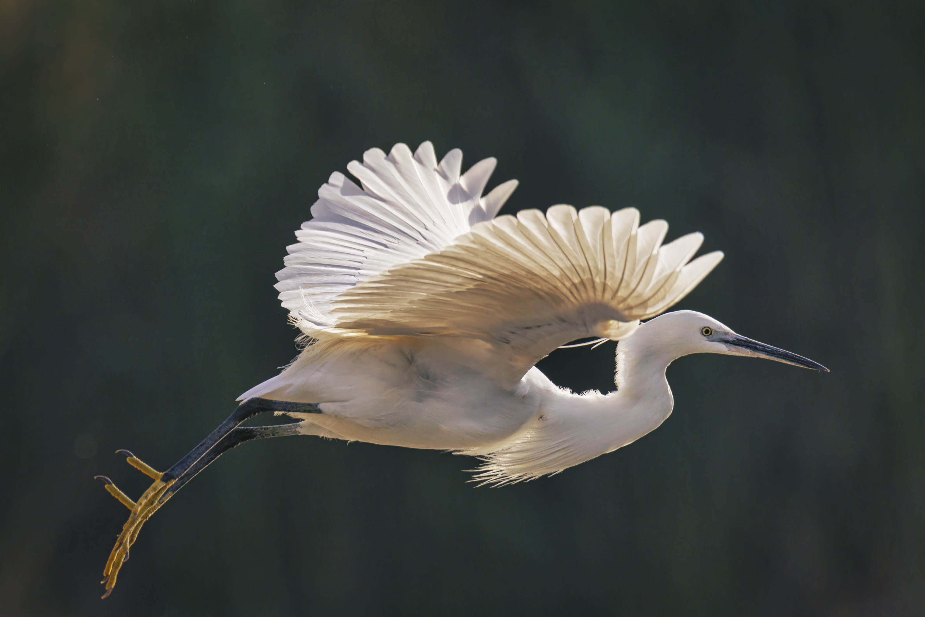 20220330-March 30, 2022-083957-3-083957-Edit-Edit.jpg